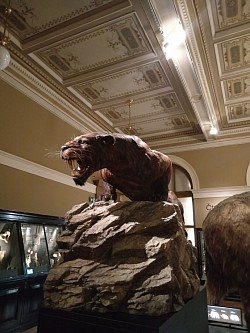 National Museum národní muzeum