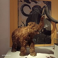 Mamut
